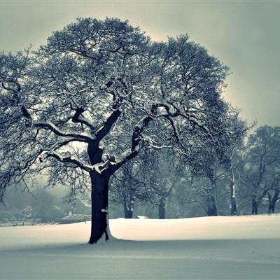 非凡体育APP下载