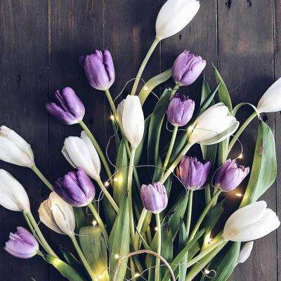 星空下载站安装截图